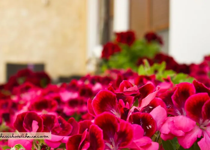 Apartament Esthisis Chania *