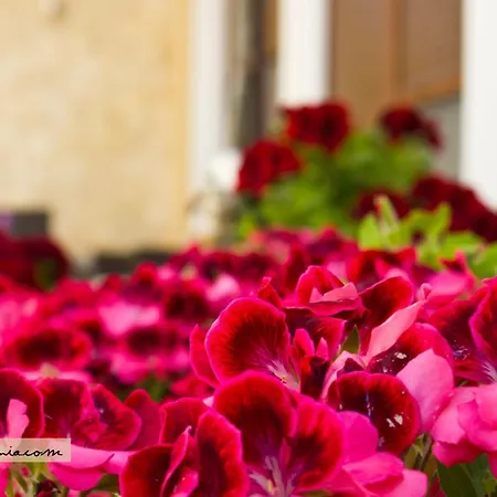 Apartament Esthisis Chania *