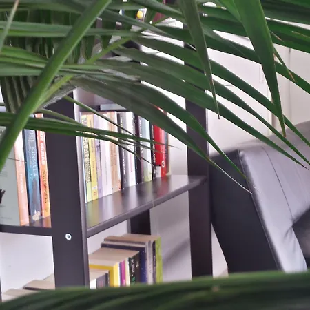 Esthisis Chania * Platanés