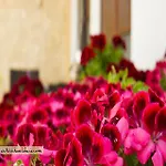 Esthisis Chania Apartment Platanias (Crete)
